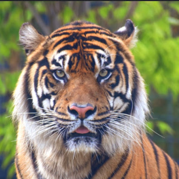 Meet your Posher, Michelle - Picture 1 of 1